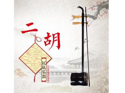 招聘茂名二胡家教老师